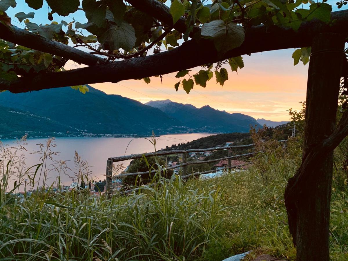 Agriturismo Treterre Farm stay *